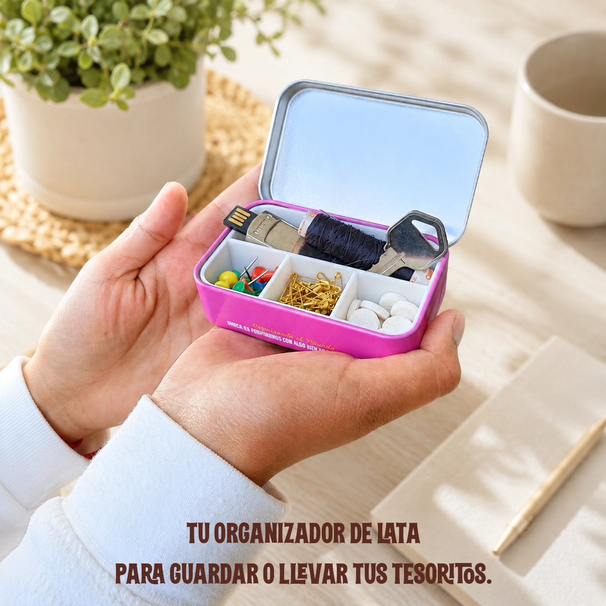 INSERTO ORGANIZADOR